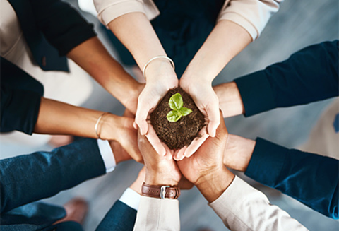 手持一株小植物的人们。