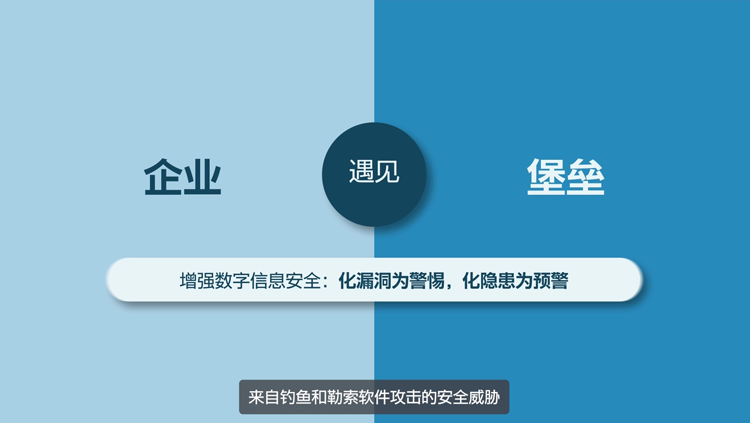 增强数字信息安全:化漏洞为警惕