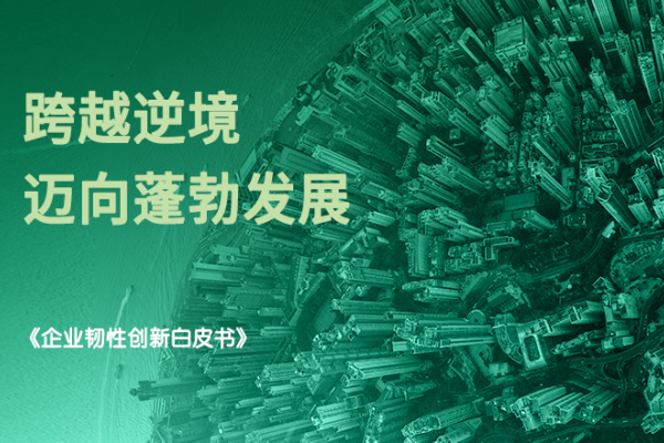 《企业韧性创新白皮书》